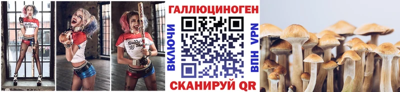 Галлюциногенные грибы Cubensis  kraken ССЫЛКА  Алатырь 